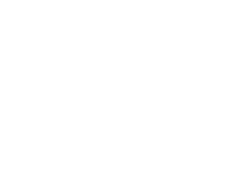 REX CLUB