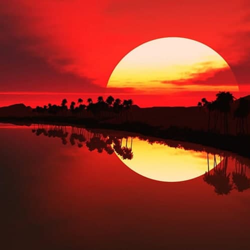 Sun is Dark