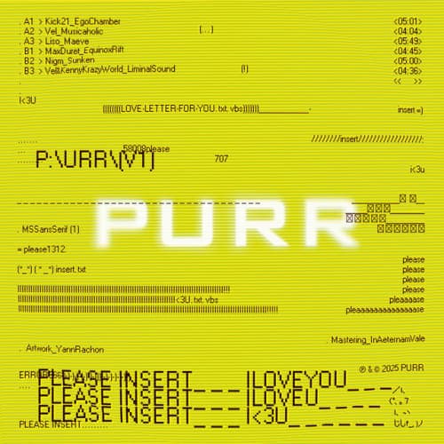 pleaseinsert_ILOVEYOU