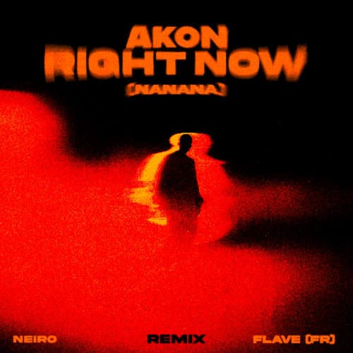 Akon - Right Now (Na Na Na) (NEIRO & Flave (FR) Remix)