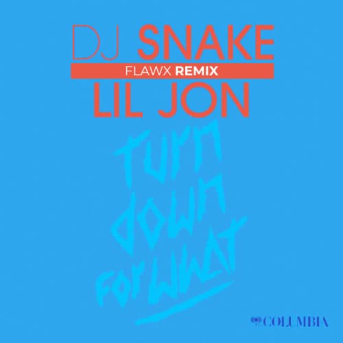 Turn Down For What (FLAWX Rave Remix)