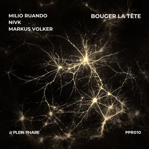 Bouger la Tête