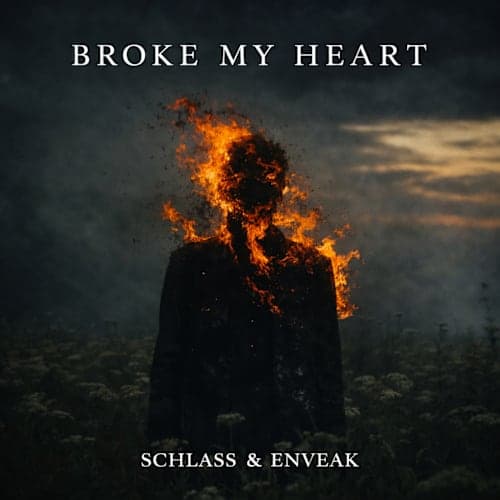 Broke My Heart