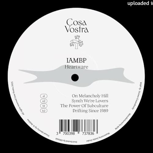 IAMBP - Synth We're Lovers