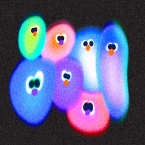 Mixmag Premiere: Jen Cardini 'petit monstre'