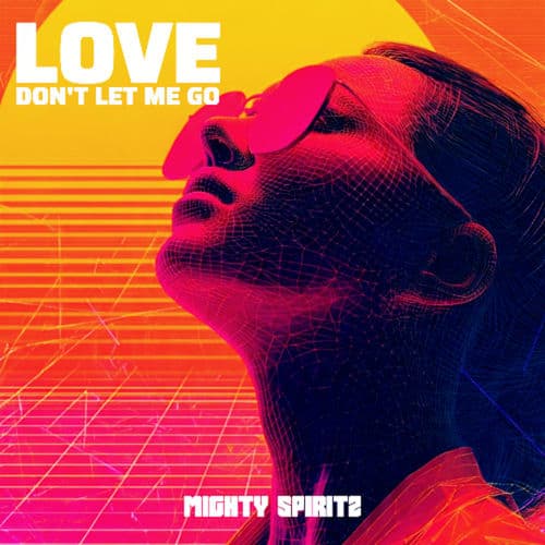 David Guetta & Chris Willis - LOVE DON'T LET ME GO (Mighty Spiritz Hardstyle Remix)